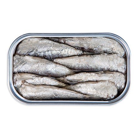 Paco Lafuente Sardinillas Open