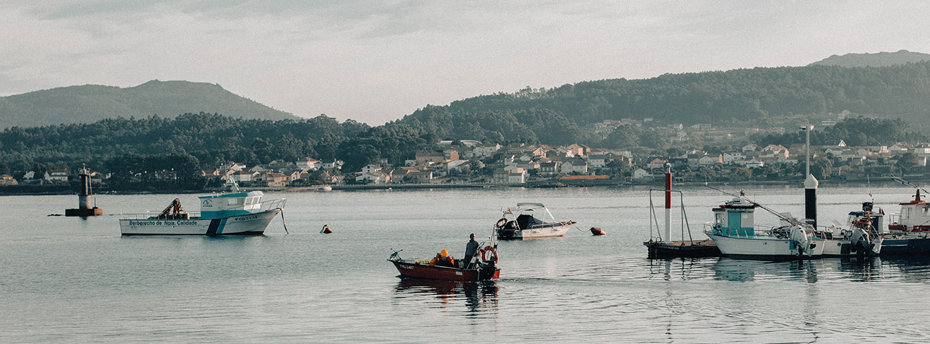 La Narval - Header - Galicia